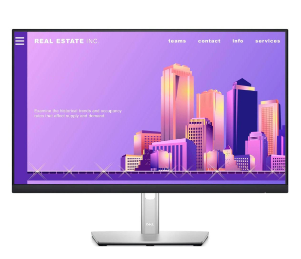 DELL 23.8'' P2422H, Srebrny (210-AZYX/5Y) - 1060455 - zdjęcie